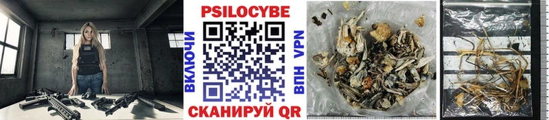 Галлюциногенные грибы MAGIC MUSHROOMS  Беломорск 